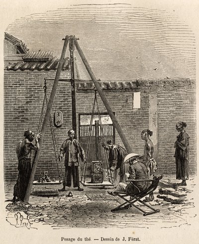 Vägningen av teet före dess expedition på kommersiella marknader i en krutfabrik i Fati Bay (Canton Province), graverad efter en teckning av J.Ferat som illustrerar resan till Kina, av J. Thompson, 1870-1872, publicerad i " Le tour du monde” 18 av Jules (after) Ferat