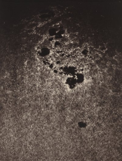 Untitled (Studie av solens yta) av Jules Cesar Janssen