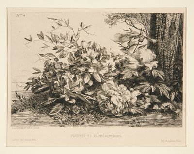 Pioner och Rhododendron av Jules Ferdinand Jacquemart