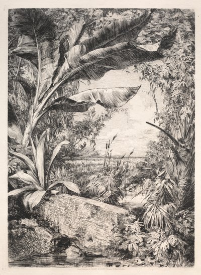 Växthusets växter, 1872. av Jules Ferdinand Jacquemart