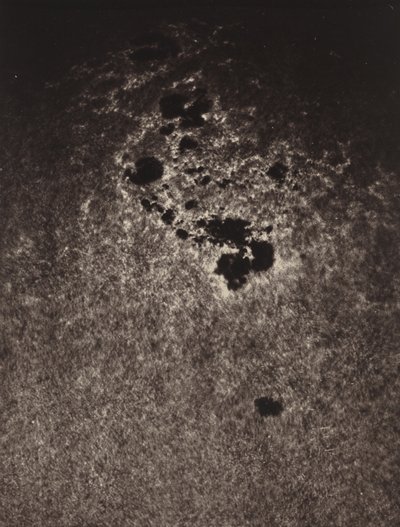 Utan titel (studie av solens yta),1893 (foto) av Jules Janssen