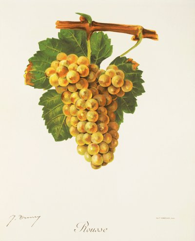 Rousse druva av J. Trncy av Jules Troncy