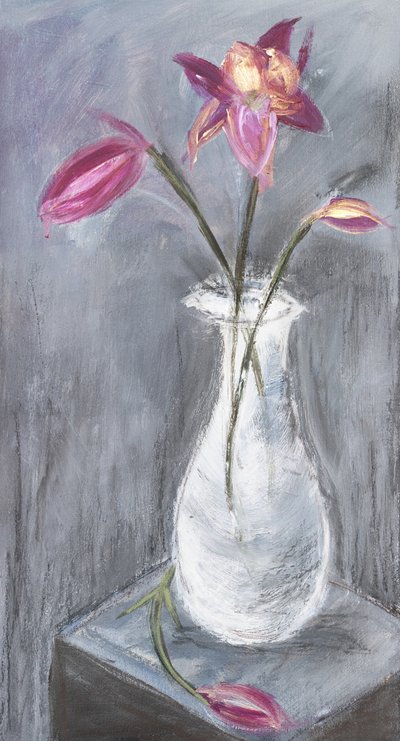  av Julia Contacessi