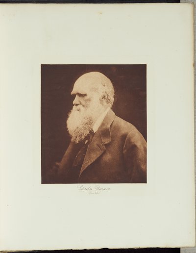 Charles Darwin av Julia Margaret Cameron