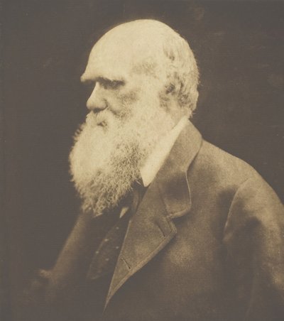 Charles Darwin, 1868, tryckt ca. 1893. av Julia Margaret Cameron
