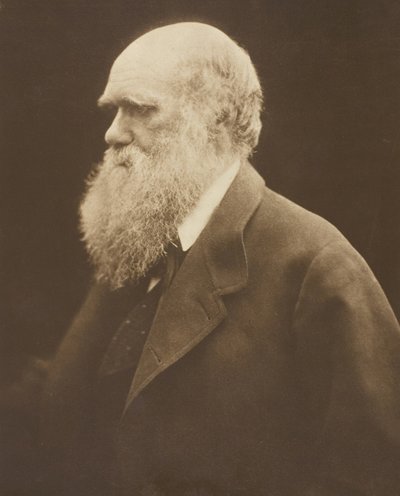 Charles Darwin, ca. 1868, tryckt 1875. av Julia Margaret Cameron