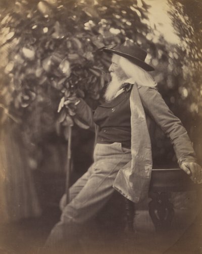 Charles Hay Cameron, Esq., i sin trädgård vid sötvatten, 1865-67. av Julia Margaret Cameron