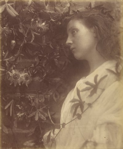 Maud Där har fallit en präktig tår från passionsblomman vid porten av Julia Margaret Cameron