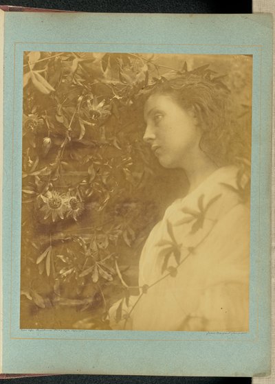 Maud ”En praktfull tår har fallit” / ”Från passionsblomman vid grinden.” av Julia Margaret Cameron