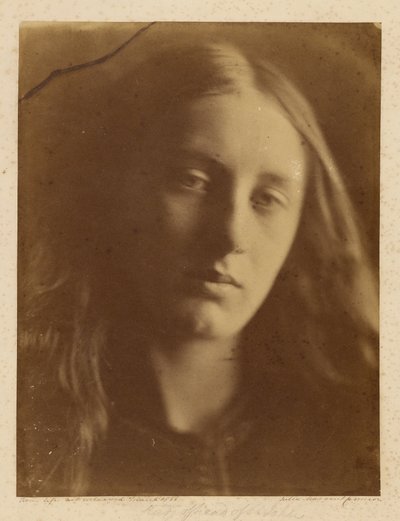[Studera huvudet på St. John] av Julia Margaret Cameron