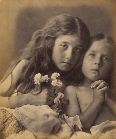 De röda och vita rosorna av Julia Margaret Cameron