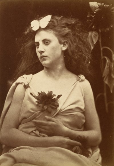 Solrosen, tidigt 1870-tal. av Julia Margaret Cameron