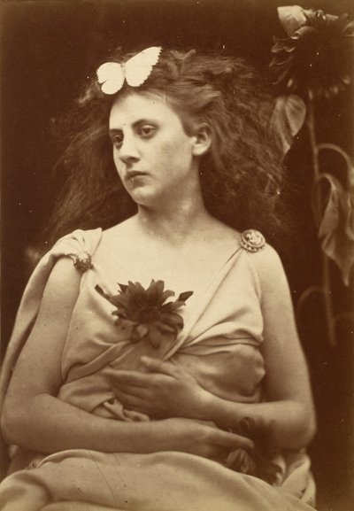 Solrosen,tidigt 1870-tal (foto) av Julia Margaret Cameron