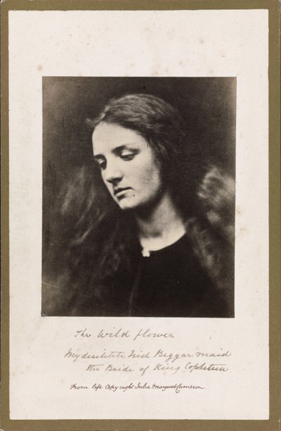 Den vilda blomman av Julia Margaret Cameron