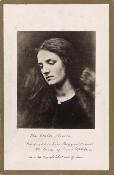 Den vilda blomman av Julia Margaret Cameron