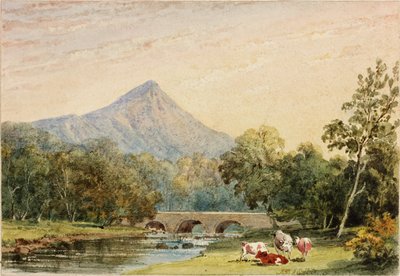 Sugarloaf Hill från Tynnahinch (wc på papper (klistrat på kort)) av Julia Swinburne