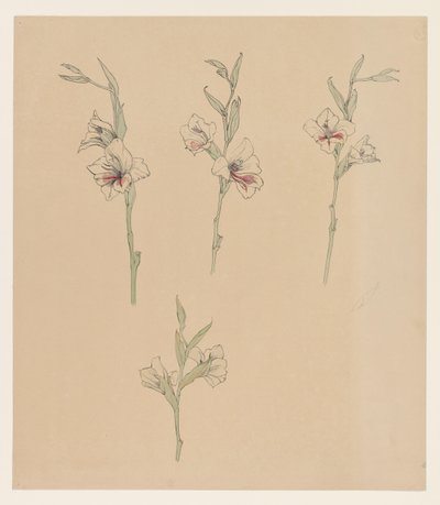 Blomsterstudier av Julie de Graag