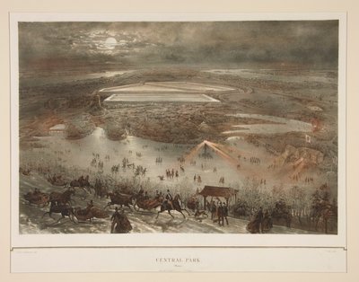 Central Park (vinter) av Julius Bien