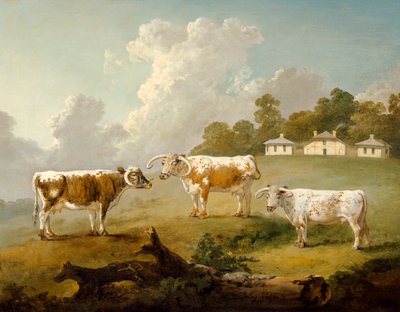 "Tre långhornade nötkreatur i Kenwood", 1797 av Julius Caesar Ibbetson