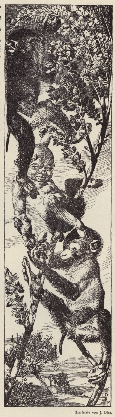 Apor som plockar frukt i ett träd (litografi) av Julius Diez
