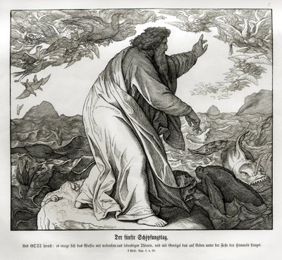 Skapelsens femte dag, Genesis av Julius Schnorr von Carolsfeld