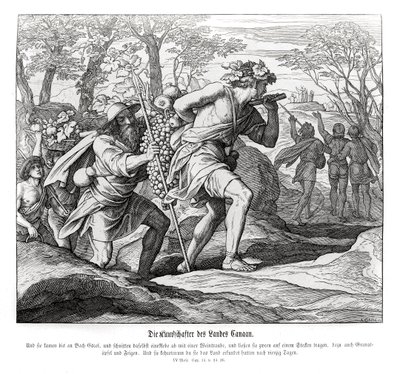 Scouter till Kanaans land, Numbers av Julius Schnorr von Carolsfeld