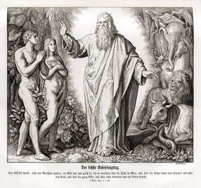 Skapelsens sjätte dag, Genesis av Julius Schnorr von Carolsfeld