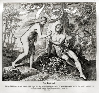 Syndafallet, Genesis av Julius Schnorr von Carolsfeld