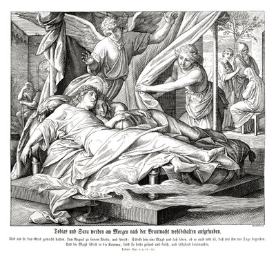 Tobias och Sarah hittas i säkerhet, Tobits bok av Julius Schnorr von Carolsfeld