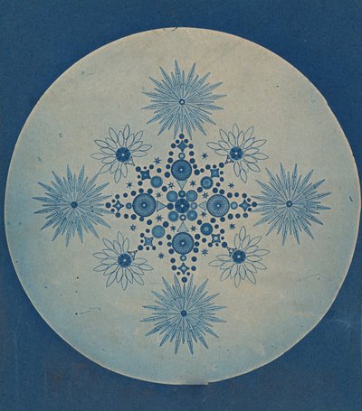 [Kalgelalgerfrustler], ca. 1870. av Julius Wiesner.