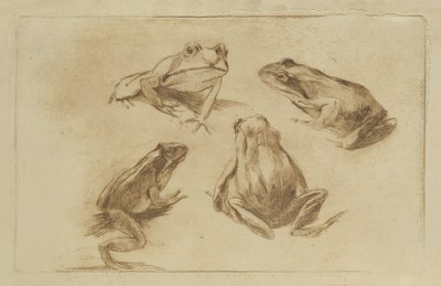 Grodor av Julius Wohlers