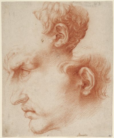 Studien eines männlichen Kopfes im Profil av Jusepe de Ribera