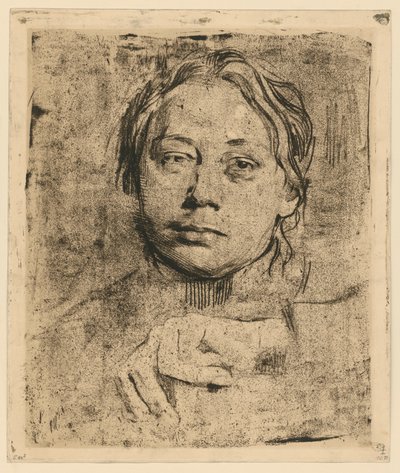  av Käthe Kollwitz