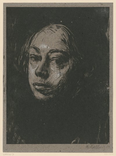  av Käthe Kollwitz