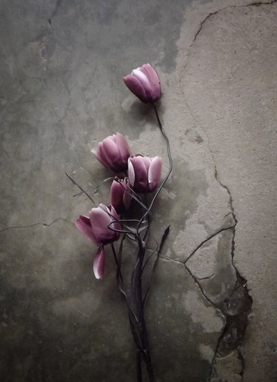 Stämningsfulla betongblommor av Kahar Lagaa
