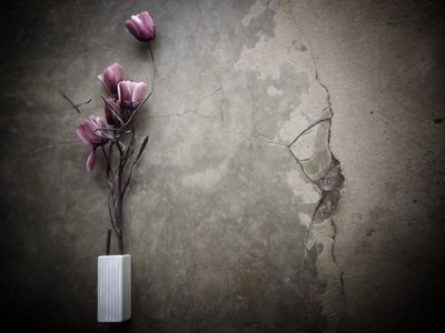 Stämningsfulla lila blommor på betong av Kahar Lagaa
