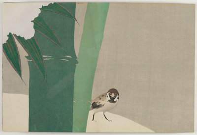 swedish av Kamisaka Sekka