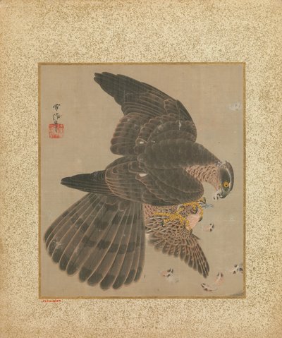 Album av hökar och kalligrafi, 1600-1700-talet. av Kanô Yôboku Tsunenobu