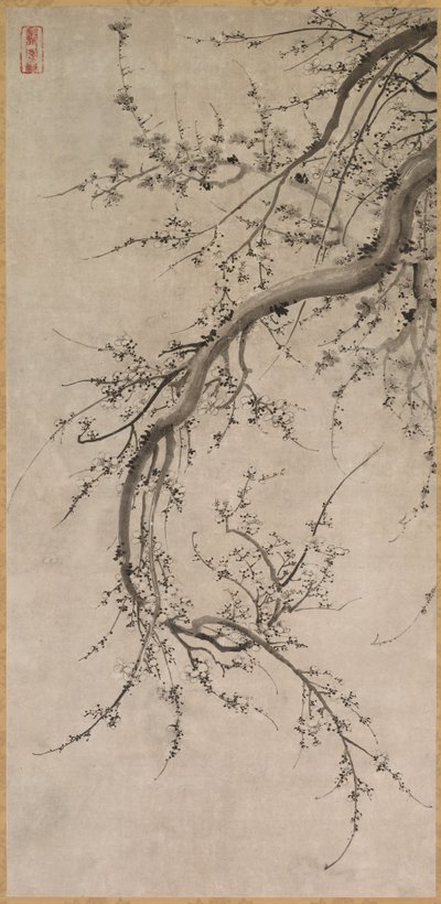 Prunus, 1600-talet. av Kano Ein