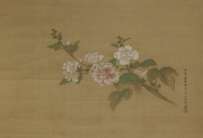 En gren av blommande hibiskus, Edo-period (färg på siden) av Kano Tanyu
