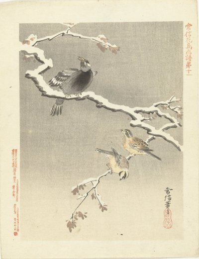 Tre fåglar på snöig gren Blom- och fågelskisser av Kano Tsunenobu (serietitel) Kano Tsunenobu kacho gafu (serietitel på objekt) av Kano Tsunenobu