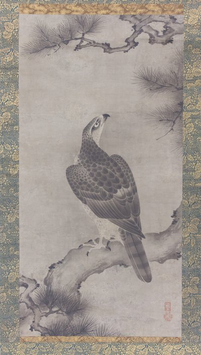 Hawk on a Pine Shoo zu, 1500-talet. av Kano Yukinobu