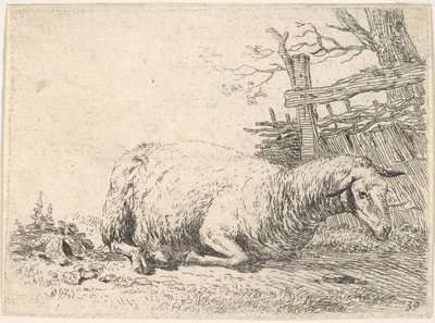 Ett får som ligger med benen vikta under kroppen bredvid ett trästaket, hon..., ca. 1655. av Karel Du Jardin