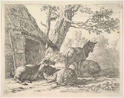 Fyra får, ett får står bland tre andra liggande på marken bredvid ett skjul med..., 1658. av Karel Du Jardin