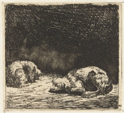 Sovande hund och katt av Karel Du Jardin