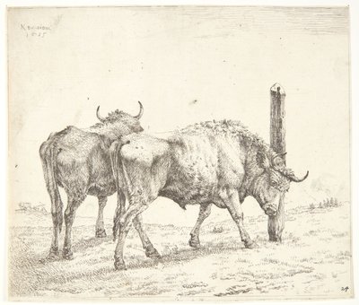 De två oxarna av Karel Du Jardin