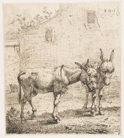 Två åsnor Djur (serietitel) av Karel Du Jardin