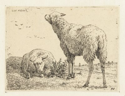 Två får av Karel Du Jardin
