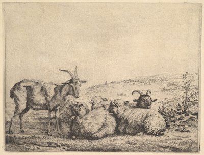 Två getter och tre får, 1655. av Karel Du Jardin