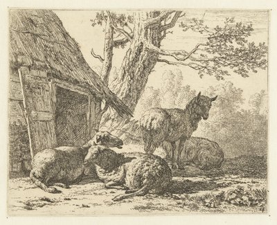 Fyra får av Karel Du Jardin